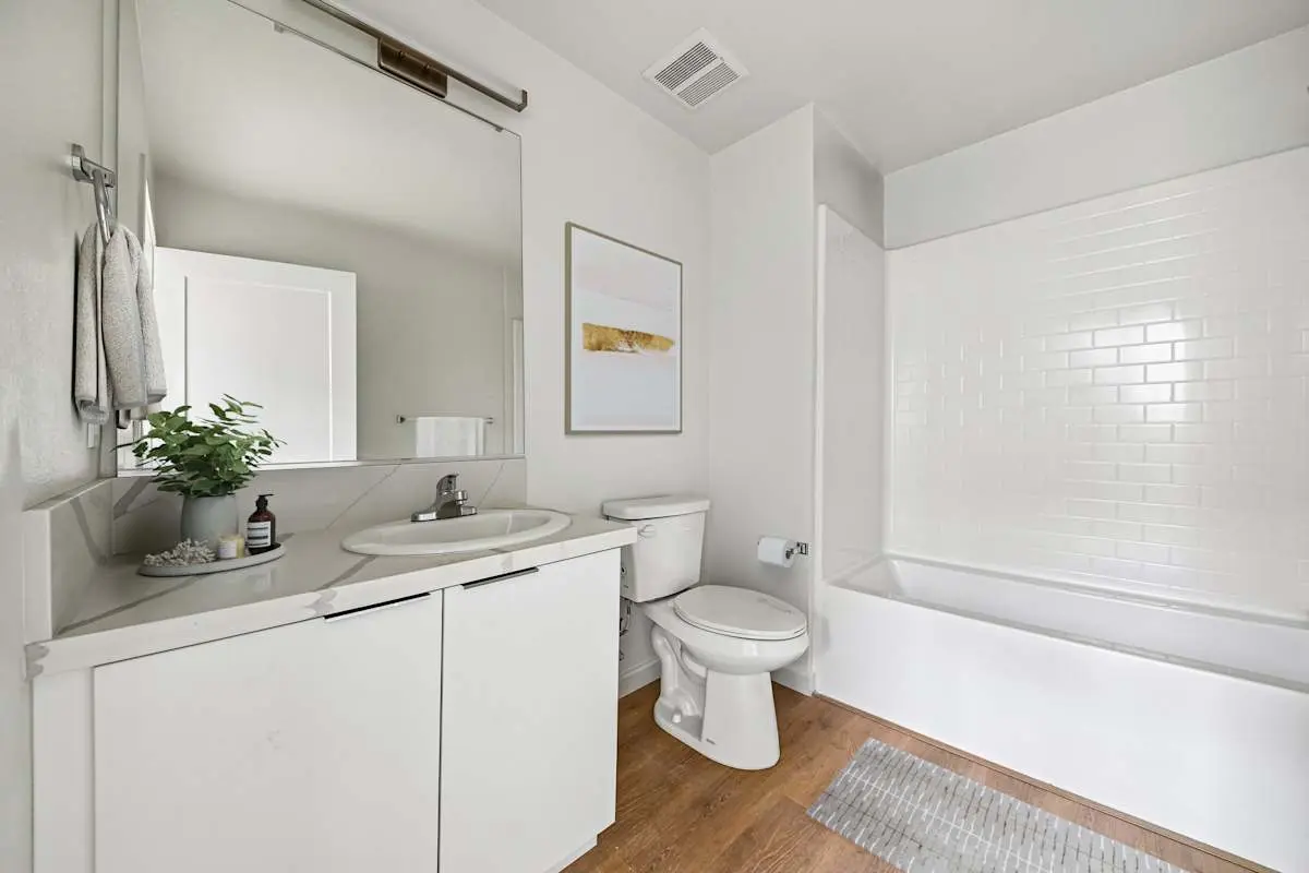 Bathroom with vanity, toilet, and bathtub